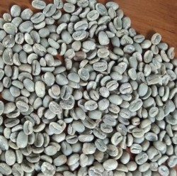 Toraja Sapan Arabica Beans Grade 1
