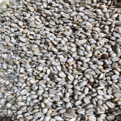 Gayo arabica honey Coffee Beans