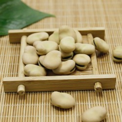 High Quality Dried beans