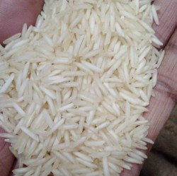 Indian best quality 1401 steam Basmati rice