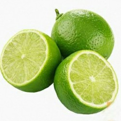 Seedless Lime Fresh Citrus Fruit High Quality